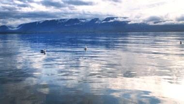 CountryHotel Sveinbjarnargerdi a Akureyri, IS