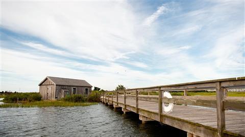 The Wetlands Institute