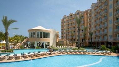 Divi Aruba Phoenix Beach Resort image