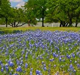 Brownwood Area Chamber of Commerce à Brownwood, TX
