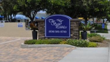 The Sand Pebbles image