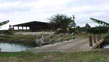 Henscratch Farms Vineyard & Winery a Lake Placid, FL