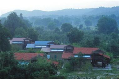 Syna Tiger Resorts, Umaria, IN