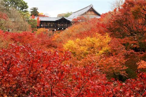 Tofukuji Temple