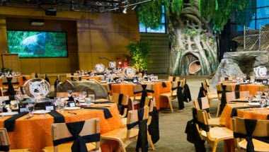 Woodland Park Zoo i Seattle, WA