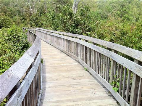 Parc d'État de Chatfield Hollow