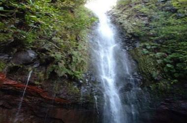 Madeira Promotion Bureau em Funchal, PT