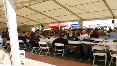 Turf Paradise a Phoenix, AZ