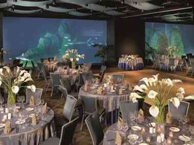 Adventure Aquarium en Camden, NJ