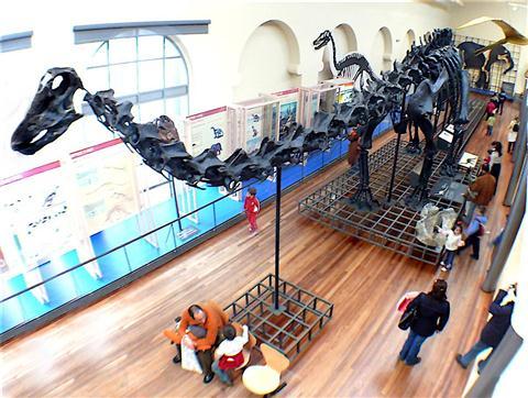 Natural Science Museum