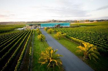 Elephant Hill em Hastings, NZ