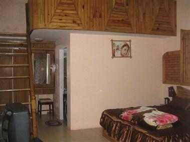 Safari Park Resort in Nainital, IN