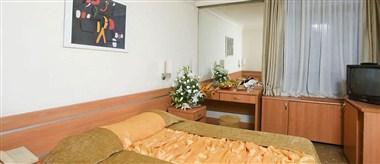 Kervansaray Bursa City Hotel in Osmangazi, TR