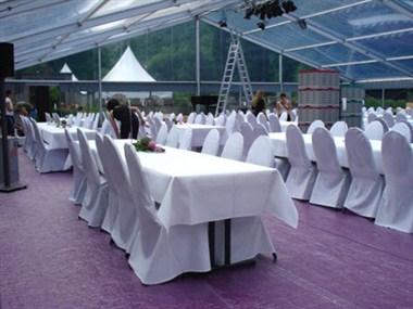 Schloss Burg Namedy in Andernach, DE