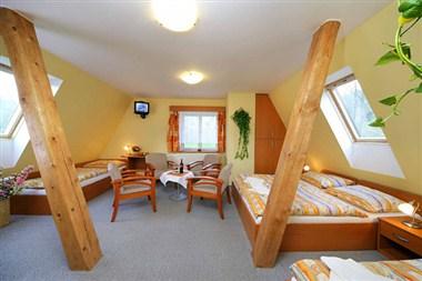 Hotel Stary Mlyn in Rokytnice nad Jizerou, CZ