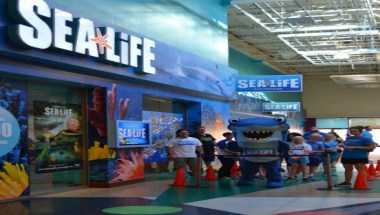 SEA LIFE Grapevine Aquarium en Vid, TX