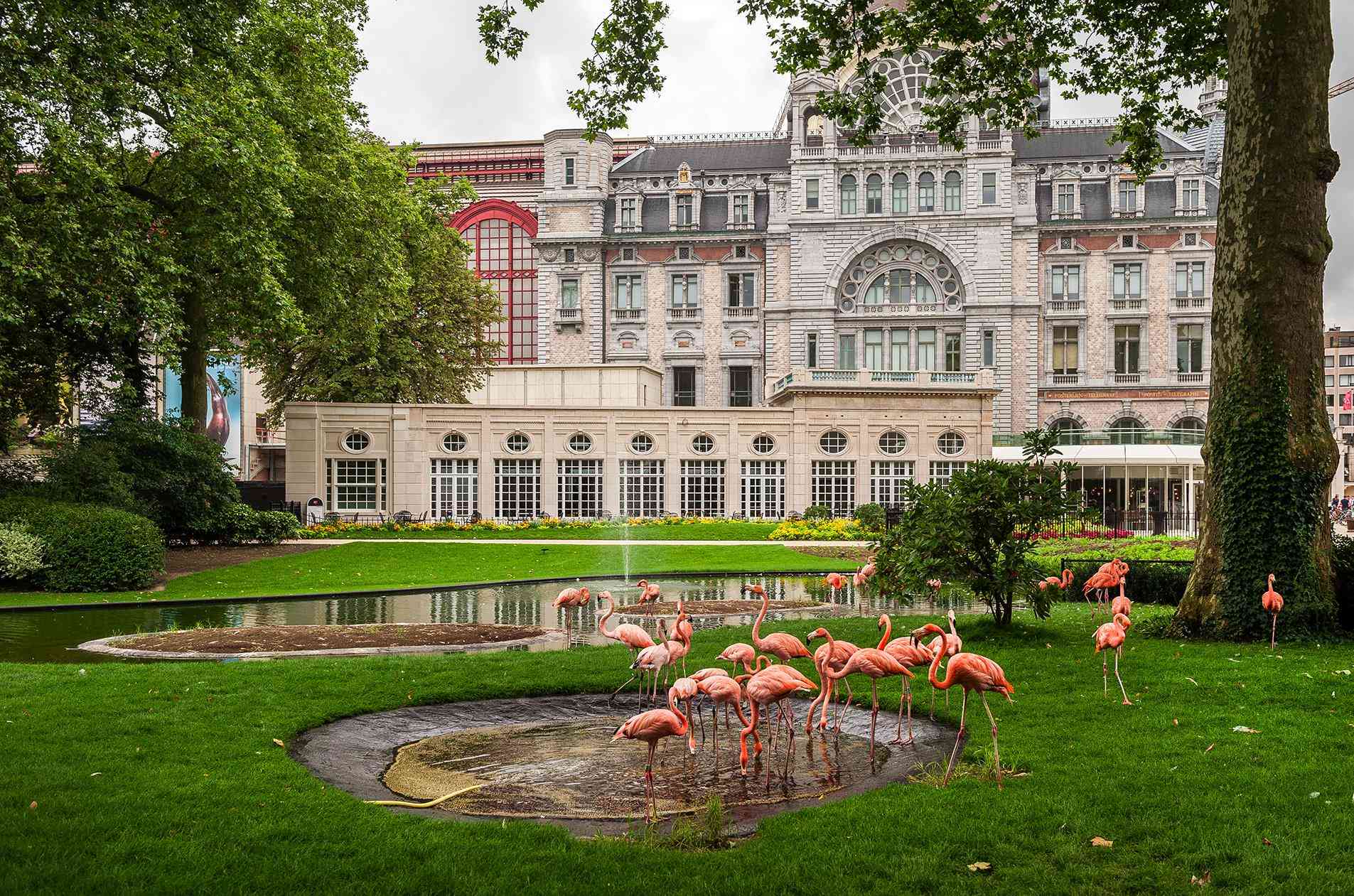 A Room with a ZOO - Elisabeth Center Antwerp i Antwerp, BE