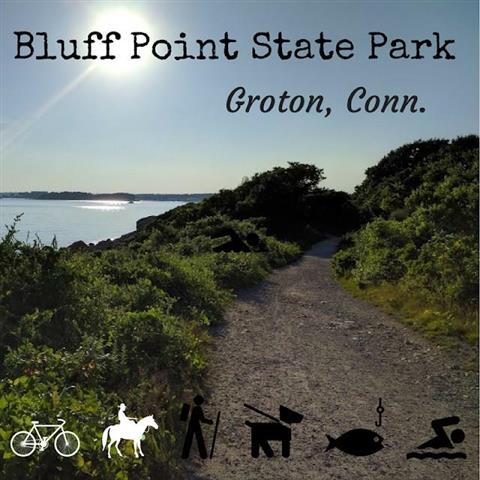 Bluff Point Walking Area