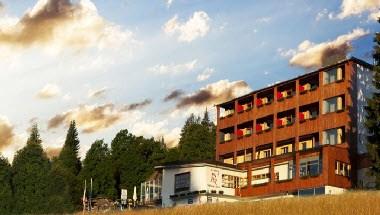 Hotel Berghof Fetz image