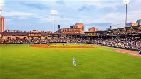 蒙哥马利布斯库茨棒球