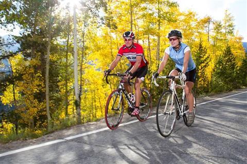 Year Round Bike Tours