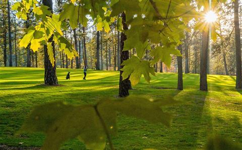 DownRiver Golf Course