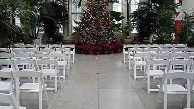 Piper Palm House в St. Louis, MO