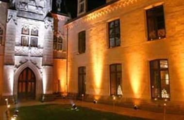 Chateau de Ternay en Ternay, FR