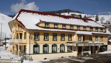 Vitalhotel Gruener Baum image