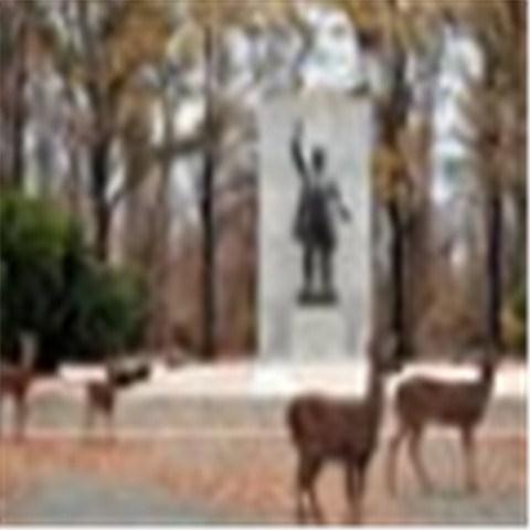 西奥多·罗斯福岛