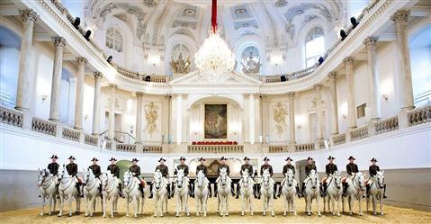 西班牙骑术学校