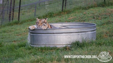Refugio de vida silvestre de Trementine Creek