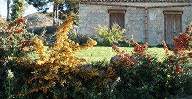 Afbeelding van locatie