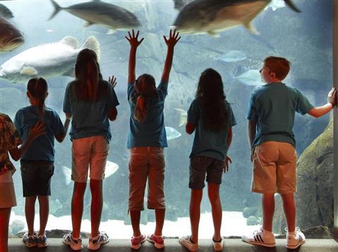 Waikiki Aquarium