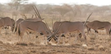 Bild des Veranstaltungsortes