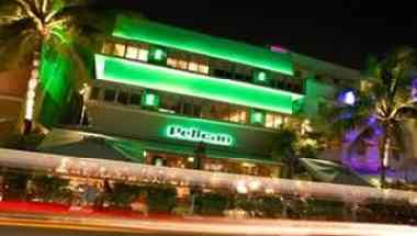 Pelican em Miami Beach, FL