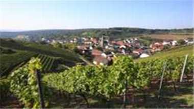 Tourismusverband "Liebliches Taubertal" e.V. à Tauberbischofsheim, DE