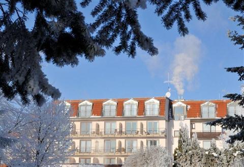 Aqualux Wellness - & Tagungshotel, Bad Salzschlirf, DE