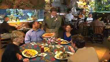 Rainforest Cafe - Mall Of America, Bloomington, MN