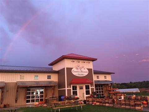 Country Blossom Farms