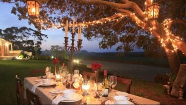 Black Oystercatcher in Bredasdorp, ZA