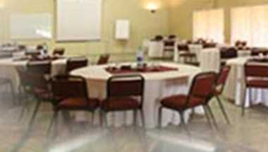 Golden Pipit in Centurion, ZA