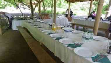 Go Ape Haldon Forest en Exeter, GB1