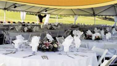 Melrose Vineyards, Roseburg, OR