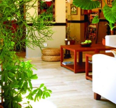 Изображение места проведения