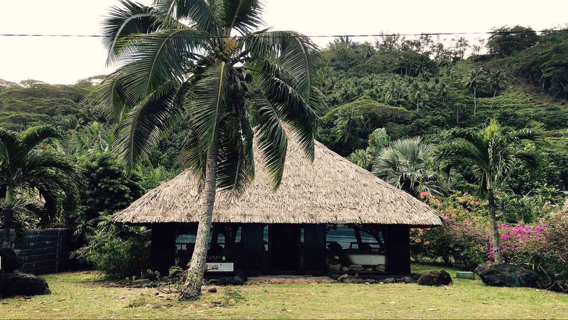 Coqui Coqui a Quintana Roo, MX