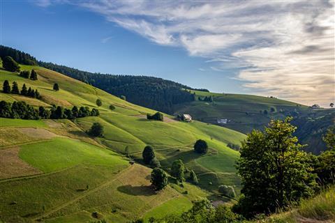Selva Negra/Schwarzwald