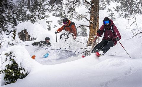 Free riding and ski touring with a mountain guide