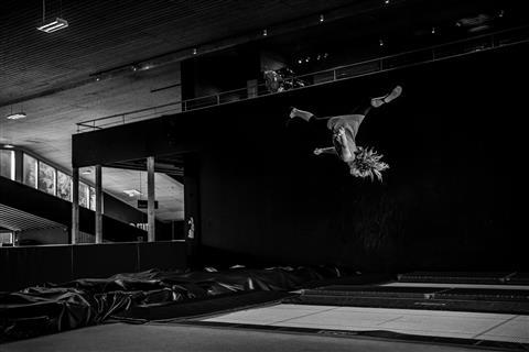 Royal Coachman - Introduction Course