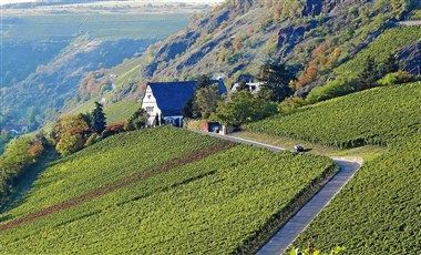 Изображение места проведения